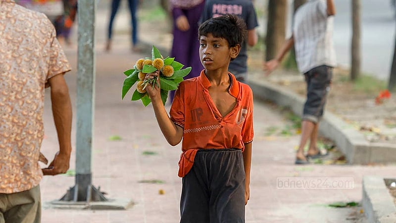 ঢাকার হাতিরঝিলে শোভা ছড়াচ্ছে বর্ষার ফুল কদম। তবে সেই কদম পেড়ে বেড়াতে আসা মানুষের কাছে বিক্রি করছে এক শিশু