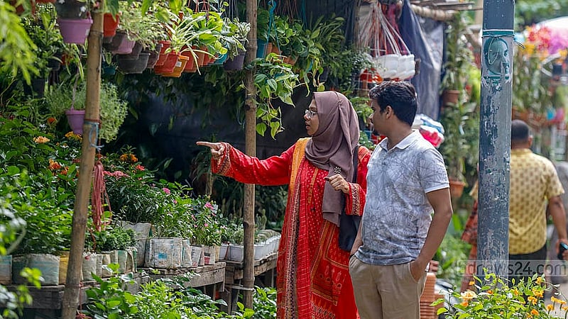 ঢাকা বিশ্ববিদ্যালয়ের কার্জন হল ও শিশু একাডেমির দেয়াল ঘেঁষা ফুটপাতের দোকানগুলো পাশাপাশি থাকায় ক্রেতারা ঘুরে ঘুরে নিজের পছন্দমত গাছ কিনতে পারছেন