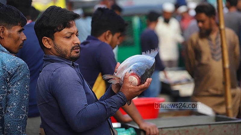 খুচরা ব্যবসায়ীরা পাইকারি দরে মাছ কিনলেও খানিকটা কম দামে টাটকা মাছের আশায় ঢাকার অনেক বাসিন্দাই ভোরে চলে যান যাত্রাবাড়ীর আড়তে