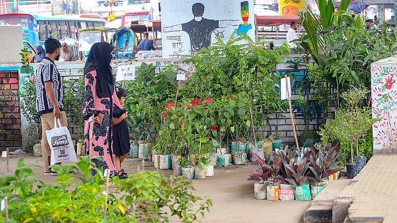 ঢাকার জুরাইন রেলওয়ে ফুটব্রিজের নিচে সাত দিনের বৃক্ষ মেলা আয়োজন করেছে ‘জুরাইন সবুজ যোদ্ধা ও বাংলাদেশ ন্যাশনাল নার্সারি’ নামে স্থানীয় সংগঠন