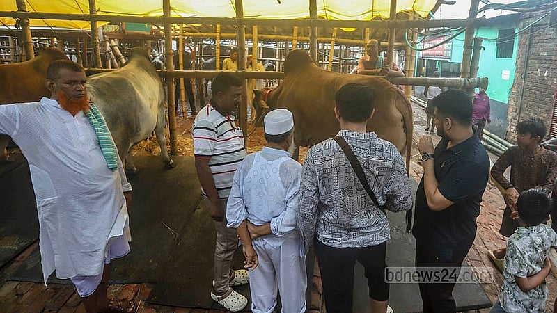 রাজধানীর গাবতলী পশুর হাটে শুক্রবার বেপারীর সঙ্গে গরুর দরদাম করতে দেখ যায় ক্রেতাদের