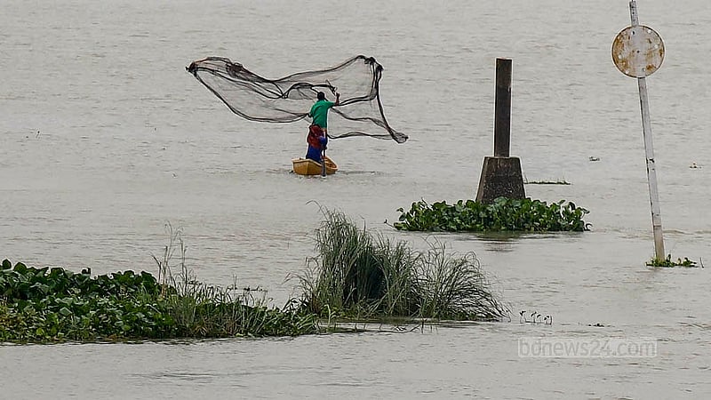 সারা বছর দূষণে জর্জরিত তুরাগ নদীতে এখন মাছের দেখা মিলছে