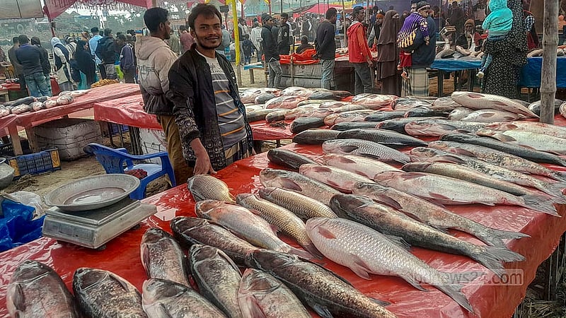 বগুড়ার গাবতলী উপজেলার মহিষবান ইউনিয়নে বুধবার ঐতিহ্যবাহী পোড়াদহ মেলার একটি দোকানে নানা জাতের মাছ