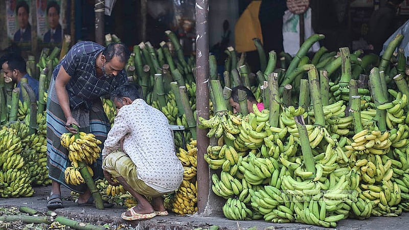 ঢাকার যাত্রাবাড়ী আড়তে সারিবদ্ধভাবে রাখা কাঁচা-পাকা কলা। প্রতি পণ (৮০টি) কলা জাত ভেদে বিক্রি হয় ২০০ থেকে ৫০০ টাকায়