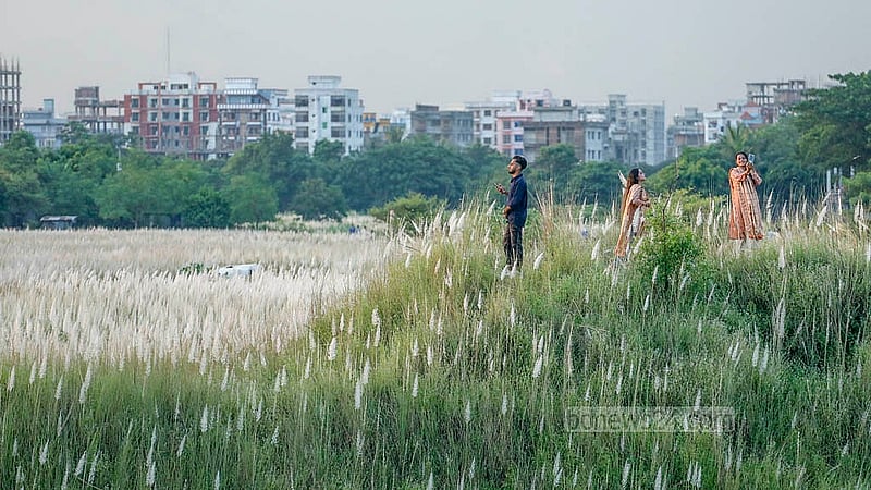 মোটরসাইকেল নিয়ে দূর-দূরান্ত থেকে ঢাকার দক্ষিণ কেরাণীগঞ্জের সারিঘাটের কাশবনে বেড়াতে আসছেন অনেকে