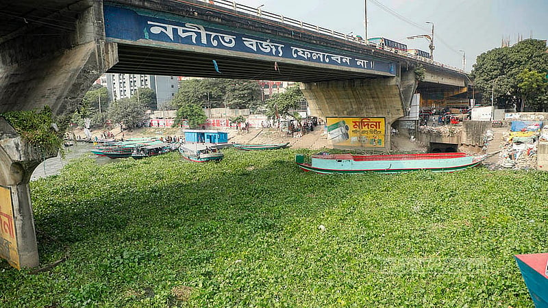 বর্ষা মৌসুম শেষে বুড়িগঙ্গা নদীতে পানি কমেছে, বেড়েছে কচুরিপানা। বাবুবাজার এলাকা থেকে তোলা