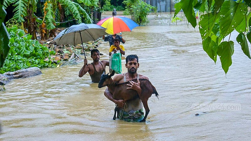 কুমিল্লার বাকশীমূল ইউনিয়নে বন্যার পানি ভেঙে কোলে ছাগল নিয়ে নিরাপদ আশ্রয়ের দিকে এক  ব্যক্তি