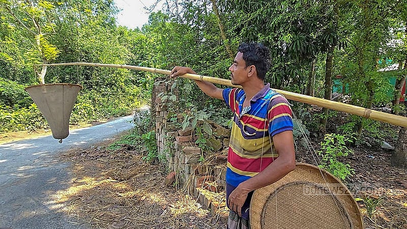 ফরিদপুরের সালথার রামকান্তপুরের বন-জঙ্গল ঘুরে বলরম পোদ্দার গাছে গাছে খুঁজছেন লাল পিঁপড়ার বাসা। সেখান থেকে তিনি সংগ্রহ করেন লাল পিঁপড়ার ডিম। এ কাজকেই পেশা হিসেবে বেছে নিয়েছেন তিনি