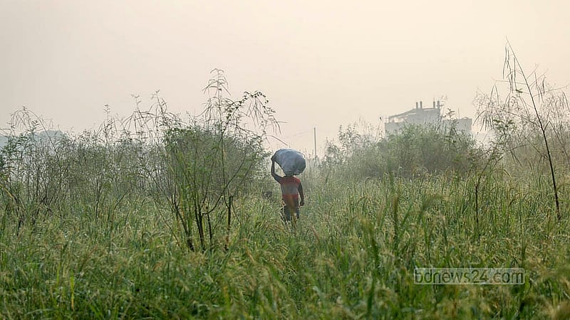 ঢাকার কেরানীগঞ্জে কুয়াশায় মোড়ানো সকালে ধান ক্ষেতের মধ্য দিয়ে সবজি নিয়ে ছুটছেন একজন