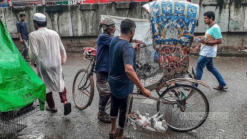 রাজধানীর কাপ্তানবাজারের হাট থেকে কবুতর কিনে ফিরছেন বাসায়