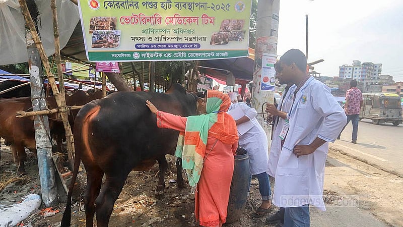 যাত্রাবাড়ীর শনিরআখড়ায় কোরবানির পশুর হাটে রয়েছে প্রাণিসম্পদ অধিদপ্তরের ভেটেরিনারি মেডিকেল টিম