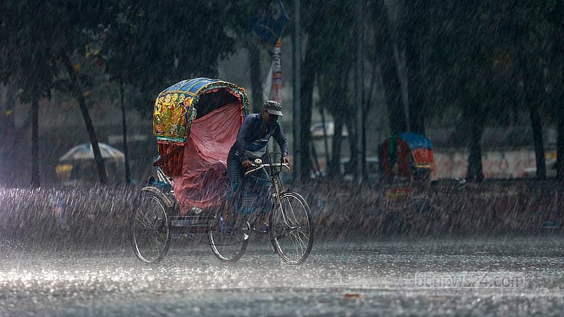 ঢাকা বিশ্ববিদ্যালয় এলাকায় বুধবার বিকালে বৃষ্টির মধ্যে যাত্রী নিয়ে গন্তব্যের পথে রিকশাচালকরা