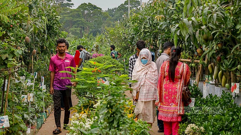 শেরে বাংলা নগরে রোববার জাতীয় বৃক্ষ মেলায় আসা দর্শনার্থীরা দেখছেন গাছে ধরে থাকা বিভিন্ন জাতের আম