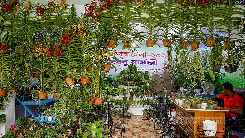 জাতীয় বৃক্ষ মেলার স্টল সাজানো হয়েছে বাহারি আঙ্গিকে।