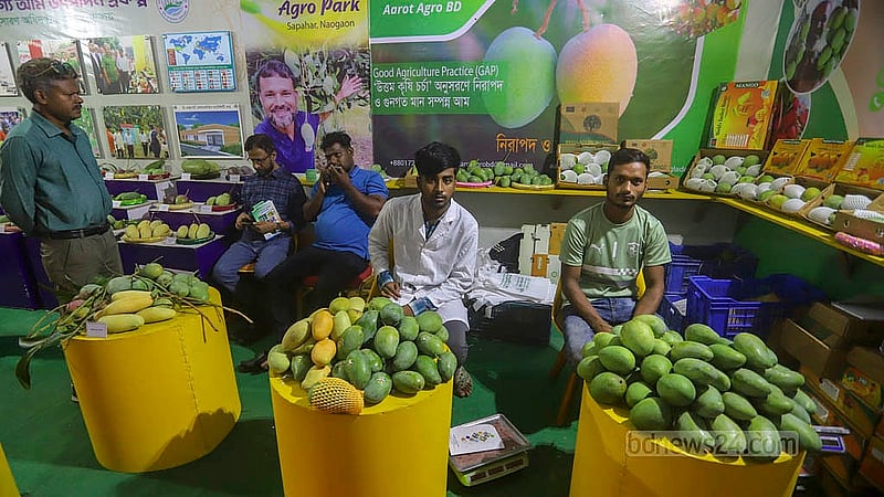 রাজধানীর কৃষিবিদ ইনস্টিটিউশনে জাতীয় ফল মেলায় সাজিয়ে রাখা হয়েছে বিভিন্ন জাতের আম