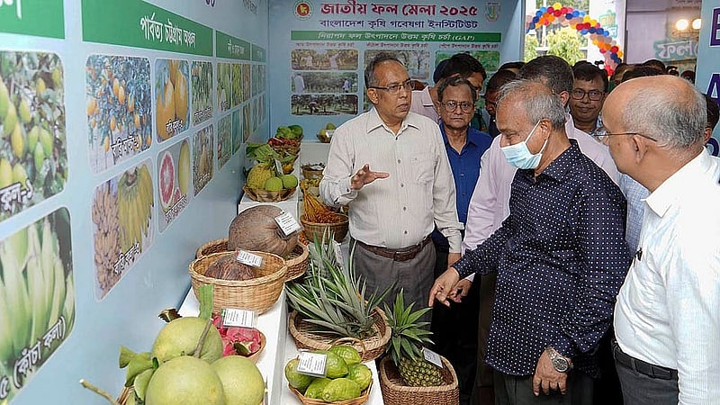 রাজধানীর কৃষিবিদ ইনস্টিটিউশনে বৃহস্পতিবার জাতীয় ফল মেলা উদ্বোধন করে মেলা ঘুরে দেখেন কৃষি উপদেষ্টা মো. জাহাঙ্গীর আলম চৌধুরী