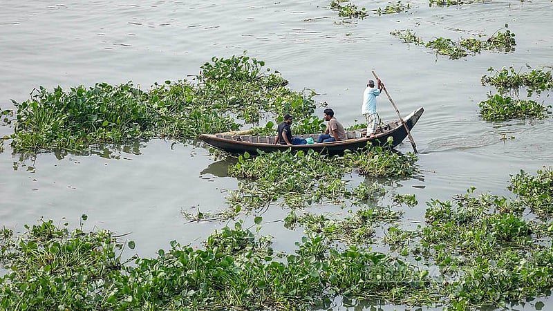 বুড়িগঙ্গায় কচুরিপানার মধ্যে দিয়ে যাত্রী নিয়ে চলাচল করছে খেয়া নৌকা