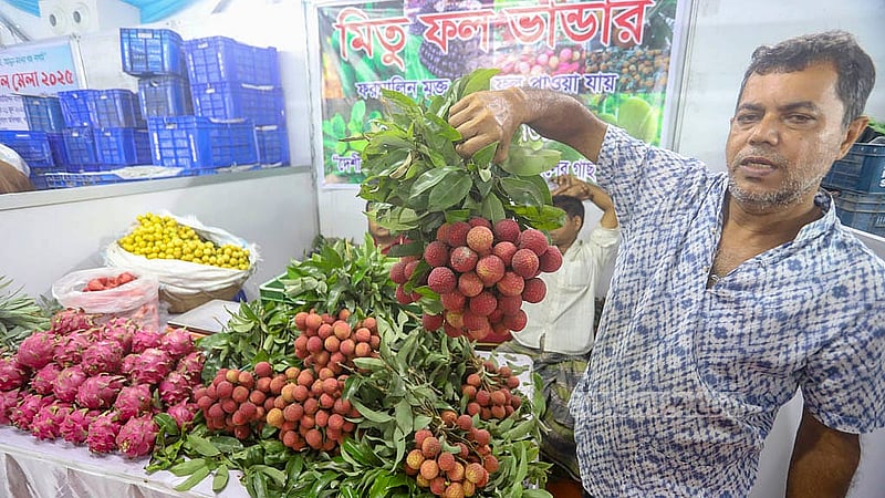 রাজধানীর কৃষিবিদ ইনস্টিটিউশনে জাতীয় ফল মেলার একটি স্টলে ‘চায়না থ্রি’ ও ‘বোম্বে’ জাতের লিচু। একশ লিচু বিক্রি হচ্ছে আটশ টাকায়