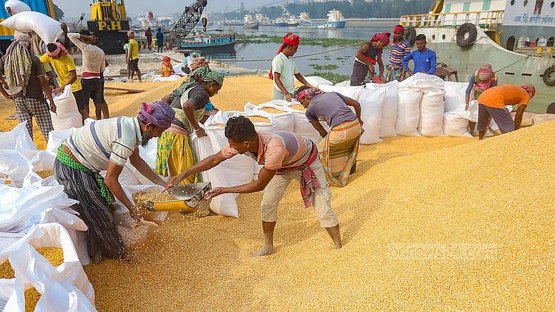 নারায়ণগঞ্জের বিআইডব্লিউটিএ এর কাচপুর ব্রিজ জেটি ঘাটে খাদ্যশস্য খালাসে শ্রমিকদের ব্যস্ততা। প্রতিদিন এখানে তারা কাজ করে আয় করেন ৬০০ থেকে ২ হাজার টাকা পর্যন্ত