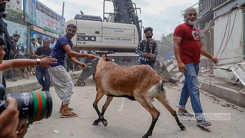 রাজধানীর মোহাম্মদপুরে খাল এবং সড়কের জায়গা দখল করে গড়ে তোলা খামার সাদিক অ্যাগ্রো উচ্ছেদে বৃহস্পতিবার অভিযান চালায় ঢাকা উত্তর সিটি করপোরেশন (ডিএনসিসি)