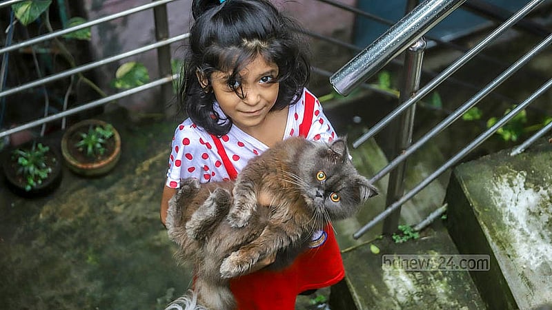 পার্সিয়ান বিড়াল হাতে হুমায়ূন কবিরের ছোট মেয়ে হাজেরা। রাজধানীর উত্তর জুরাইনে তাদের বাসার ছাদে রয়েছে খামার