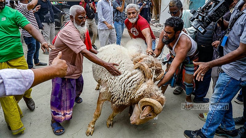 ঢাকার মোহাম্মদপুরে বৃহস্পতিবার রামচন্দ্রপুর খালের উপর সাদিক অ্যাগ্রোর অবৈধ অংশ উচ্ছেদের সময় খামার থেকে বের করে আনা হচ্ছে ছাগল ও ভেড়া