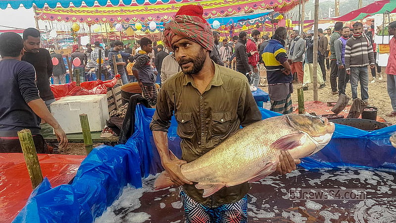 ঐতিহ্যবাহী পোড়াদহ মেলার একটি স্টলে চৌবাচ্চার ভেতরে একটি মাছ হাতে তুলে ক্রেতার দৃষ্টি আকর্ষণের চেষ্টায় এক বিক্রেতা
