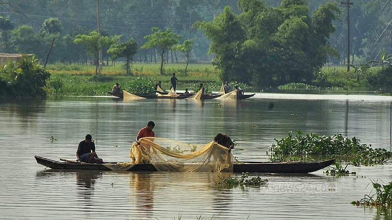 চট্টগ্রামের হালদা নদীতে জাল ফেলে ডিম সংগ্রহ করতে ব্যস্ত সময় পার করছেন জেলে ও স্থানীয়রা