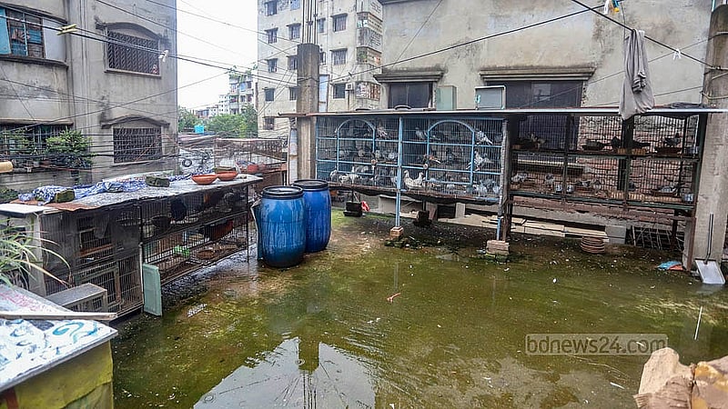 রাজধানীর উত্তর জুরাইনে হুমায়ূন কবিরের বাসার ছাদে শখের খামার
