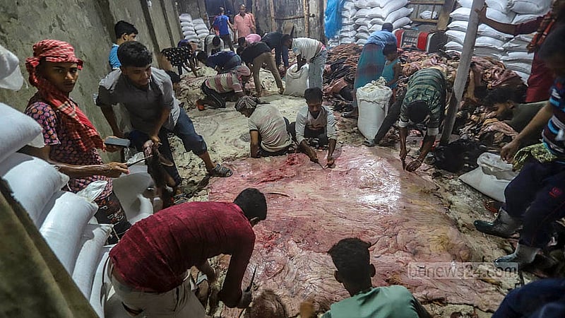 রাজধানীর লালবাগের পোস্তার একটি আড়তে চামড়া সংগ্রহে ব্যস্ত সময় পার করছেন শ্রমিকরা