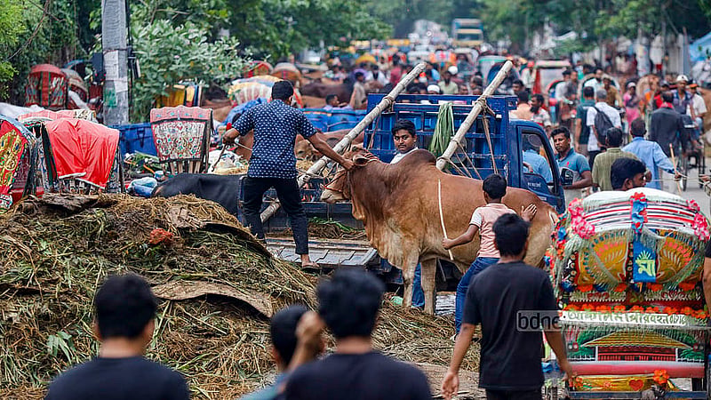 ঢাকা পলিটেকনিক ইন্সটিটিউট মাঠ কোরবানির পশুর হাটের জন্য ইজারা দিয়েছে ঢাকা উত্তর সিটি করপোরেশন। কিন্তু মাঠ ছাড়িয়ে লাভ রোডে এসেছে কোরবানির পশু