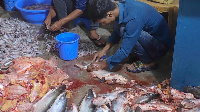 রাজধানীর যাত্রাবাড়ী মাছের আড়তে একটি মাছ কাটার দোকানে পাঙ্গাস মাছের ফালি আলাদা করার কাজ চলছে। এখান থেকে কাঁটা ছাড়া মাছ কিনে নিয়ে যায় ঢাকার বিভিন্ন খাবারের দোকান ও চাইনিজ রেস্টুরেন্ট