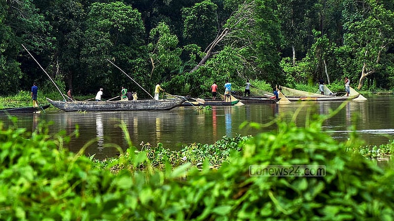 চট্টগ্রামের হালদা নদীতে ডিম সংগ্রহ করছেন জেলে ও স্থানীয়রা