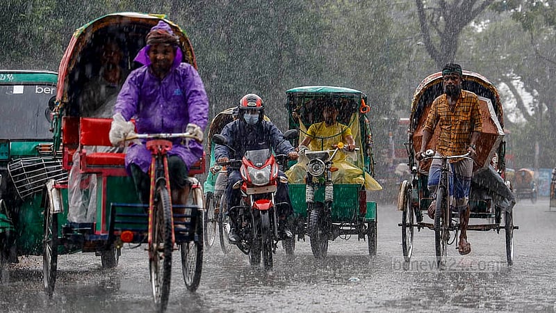 ঢাকা বিশ্ববিদ্যালয় এলাকায় বৃহস্পতিবার দুপুরে বৃষ্টির মধ্যে যাত্রী নিয়ে গন্তব্যের পথে রিকশা চালকরা
