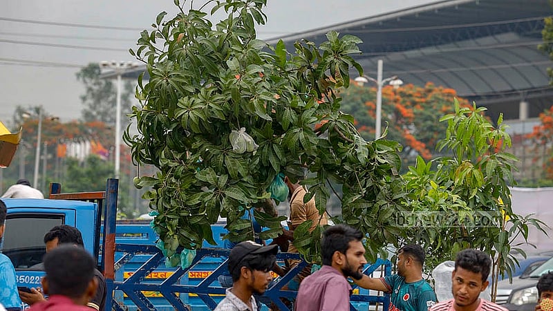 জাতীয় বৃক্ষ মেলা থেকে ফলসহ আমগাছ কিনে পিকআপ ভ্যানে করে নিয়ে যাওয়া হচ্ছে