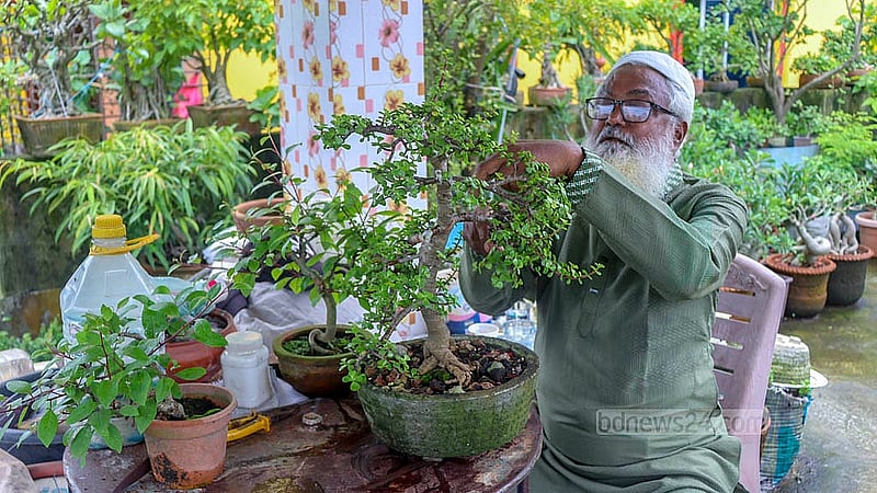 চাকুরি থেকে অবসর নেওয়ার পর থেকে হাসান ফিরোজের সময় কাটে তার বনসাই বাগানে। তার সংগ্রহে থাকা বনসাই নিয়ে চট্টগ্রামে দুটি প্রদর্শনীও হয়েছে