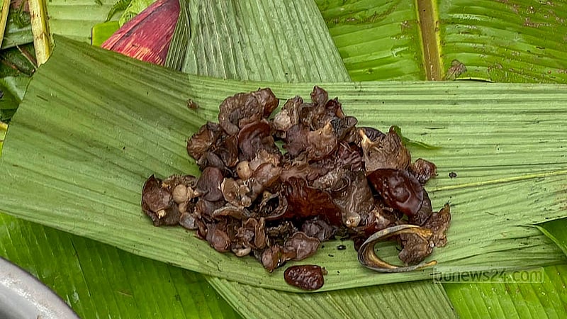 পাহাড়ি সবজি বাদেও লারমা স্কয়ারের হাটে পাওয়া যায় ঝিরির শামুক