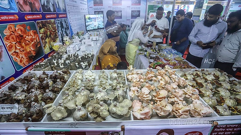রাজধানীর কৃষিবিদ ইনস্টিটিউশনে জাতীয় ফল মেলায় মাশরুম উন্নয়ন ইনস্টিটিউটের স্টলে বিভিন্ন জাতের মাশরুম