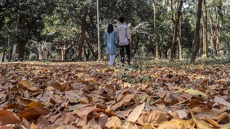 রাজধানীর রমনা পার্কে ঝরা পাতার মধ্য দিয়ে ঘুরে বেড়াচ্ছেন অনেকেই