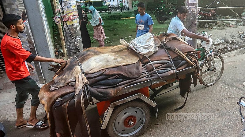 রাজধানীর বিভিন্ন এলাকা থেকে কোরবানির পশুর চামড়া সংগ্রহ করে ভ্যানে লালবাগের পোস্তায় নিয়ে আসেন অনেকেই