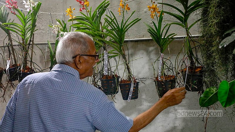 ঢাকার গুলশান-২ নম্বরে অর্কিডের মেলার প্রথম দিন শুক্রবার ঘুরতে আসা এক দর্শনার্থী ঘুরে ঘুরে দেখছেন অর্কিড গাছ