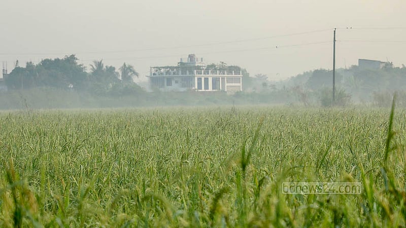 কার্তিক মাসের দ্বিতীয় সপ্তাহ চলে। এরই মধ্যে শীতের আমেজ দেখা দিয়েছে ঢাকার কেরানীগঞ্জে