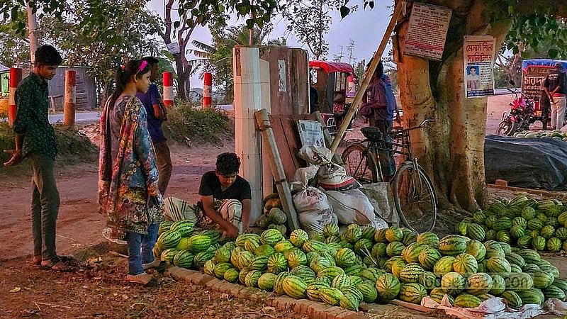 নাটোরের গুরুদাসপুরের কাছিকাটা এলাকায় সড়কের দুই পাশে জমে উঠেছে তরমুজের বাজার