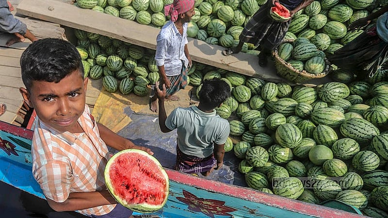 ট্রলার থেকে তরমুজ নামানোর সময় ফেটে যাওয়া তরমুজ খাচ্ছে এক শিশু