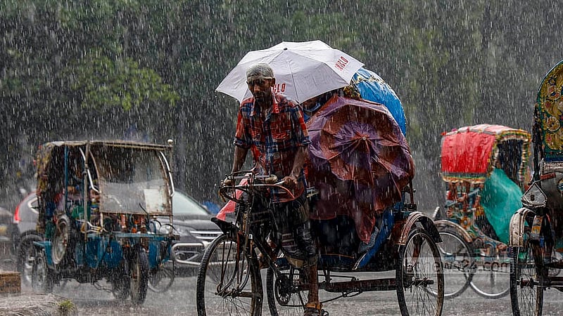 ঢাকা বিশ্ববিদ্যালয় এলাকায় বৃহস্পতিবার দুপুরে বৃষ্টির মধ্যে যাত্রী নিয়ে গন্তব্যের পথে রিকশা চালকরা