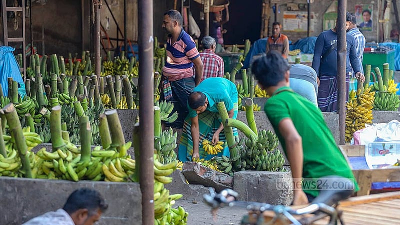 ঢাকার যাত্রাবাড়ী আড়তে সারিবদ্ধভাবে রাখা কাঁচা-পাকা কলা। প্রতি পণ (৮০টি) কলা জাত ভেদে বিক্রি হয় ২০০ থেকে ৫০০ টাকায়