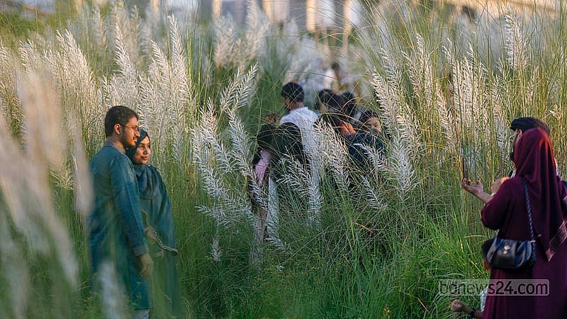 সাপ্তাহিক ছুটির দিন শুক্রবার ঢাকার দিয়াবাড়িতে কাশবন দেখতে যাওয়া প্রায় সবাই