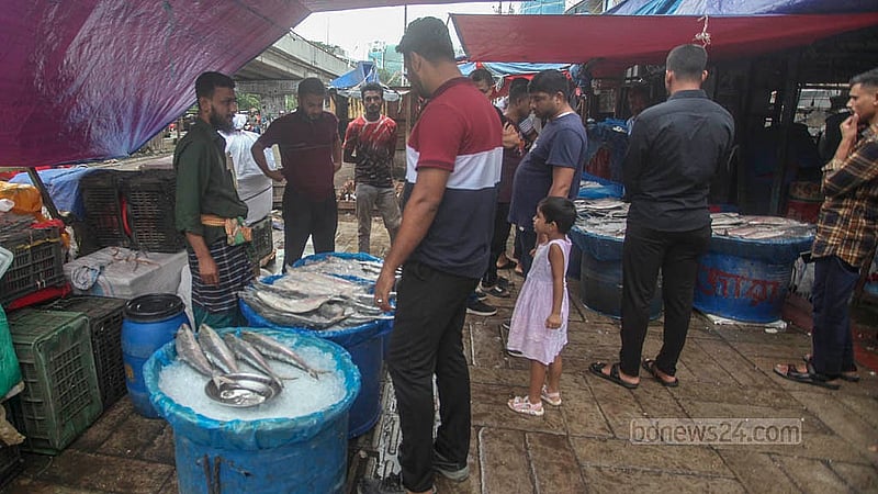 ইলিশ কিনতে রাজধানীর কারওয়ান বাজার রেলগেইটের সামনে ফুটপাতে বসা দোকানে ভিড় করছেন ক্রেতারা। এ বছর ভরা মৌসুমে ইলিশের চড়া দাম নিয়ে ক্রেতাদের মধ্যে রয়েছে অসন্তোষ