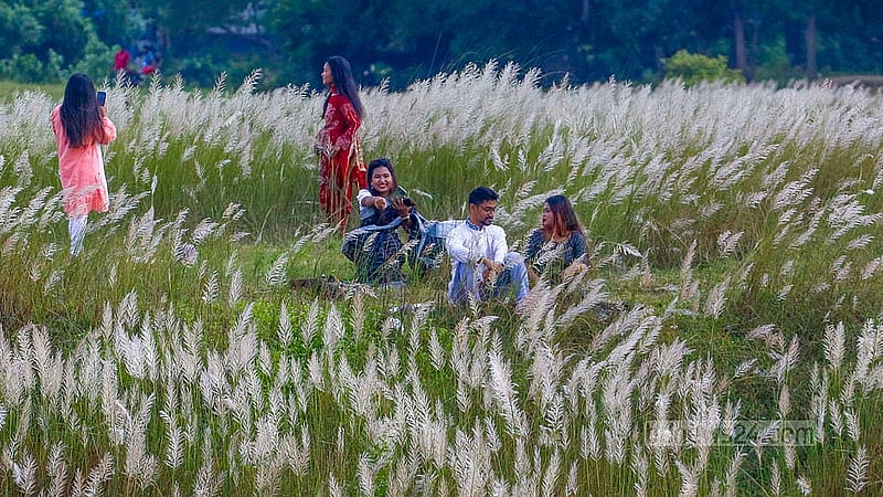 শরতের বিকেলে কেরানীগঞ্জের সারিঘাটে কাশবনের সৌন্দর্য উপভোগ করছেন কয়েকজন।