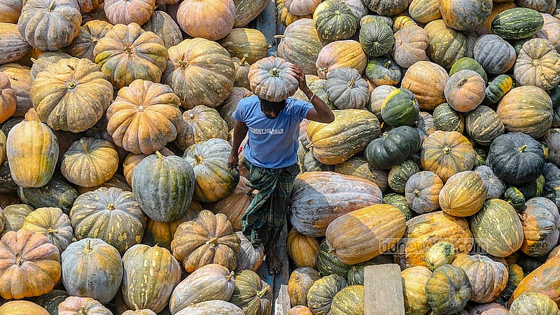 মুন্সীগঞ্জের গাদিঘাট এলাকায় নৌকা থেকে মিষ্টি কুমড়া নিয়ে নামচ্ছেন একজন